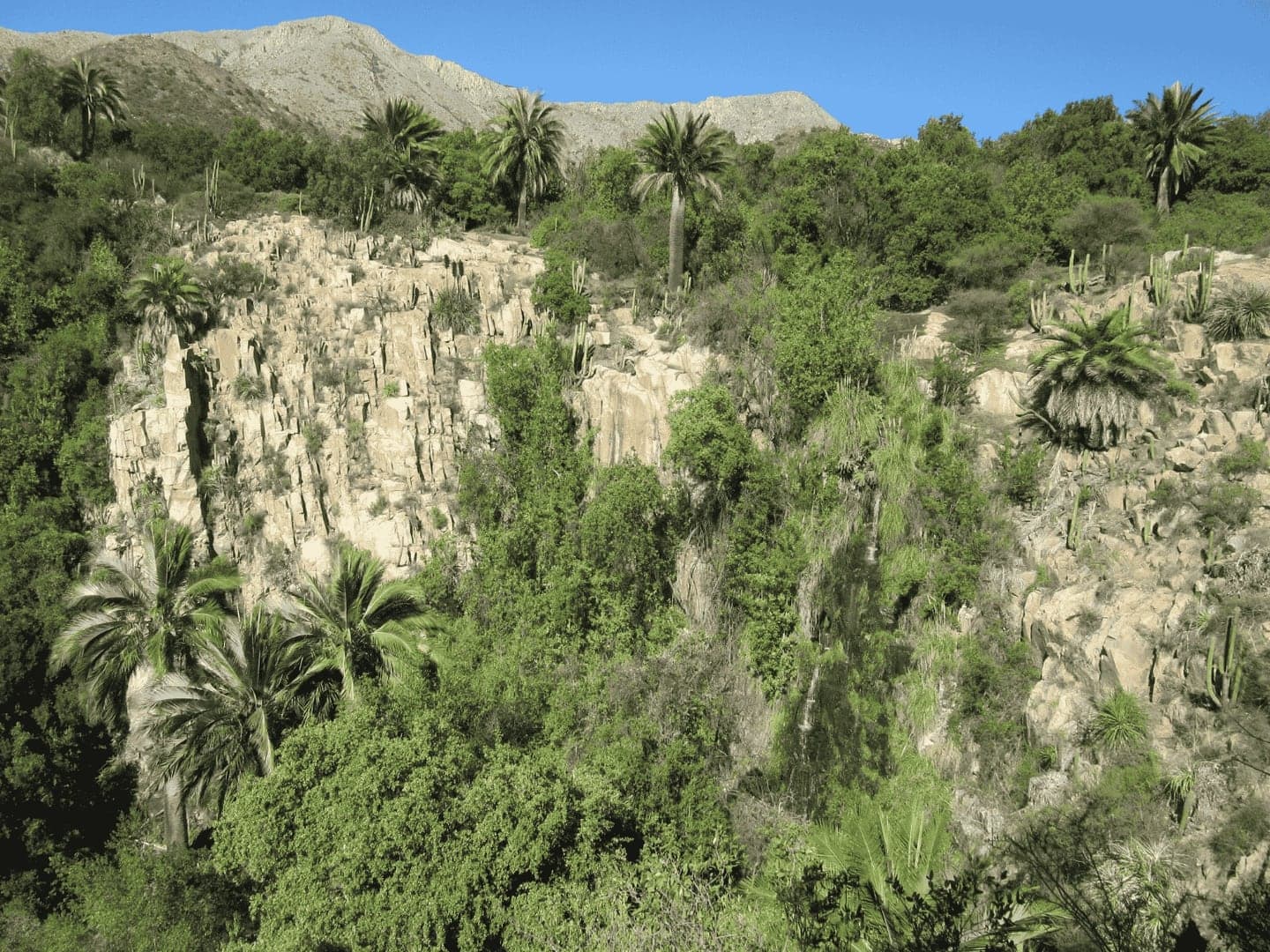 Trekking en La Campana