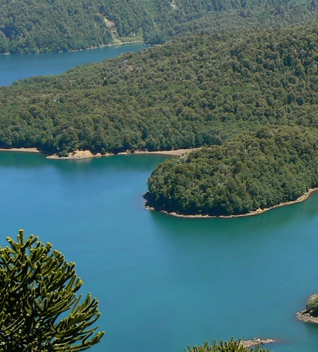 Trekking en Conguillío