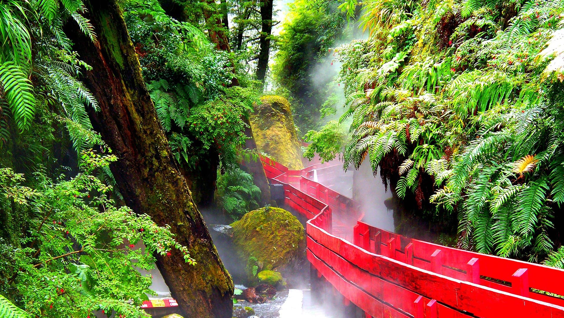 Termas Geométricas