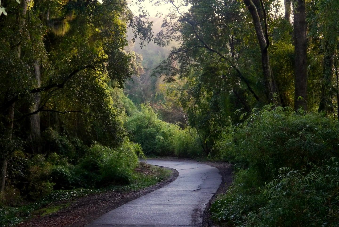 Monumento Natural Cerro Ñielol