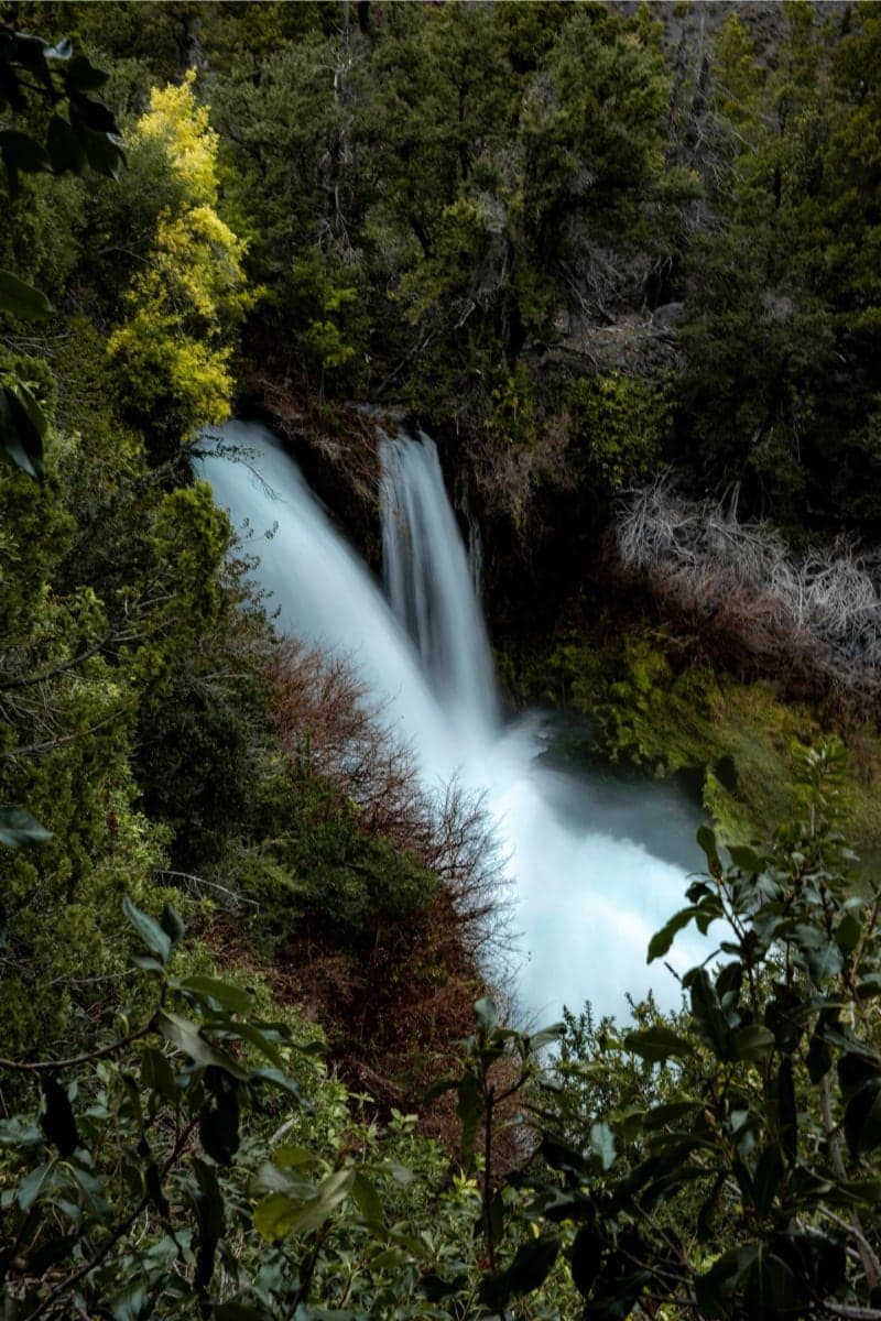 Parque Nacional Laguna del Laja