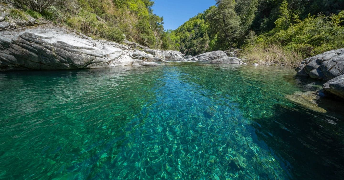 Reserva Nacional Huemules de Niblinto