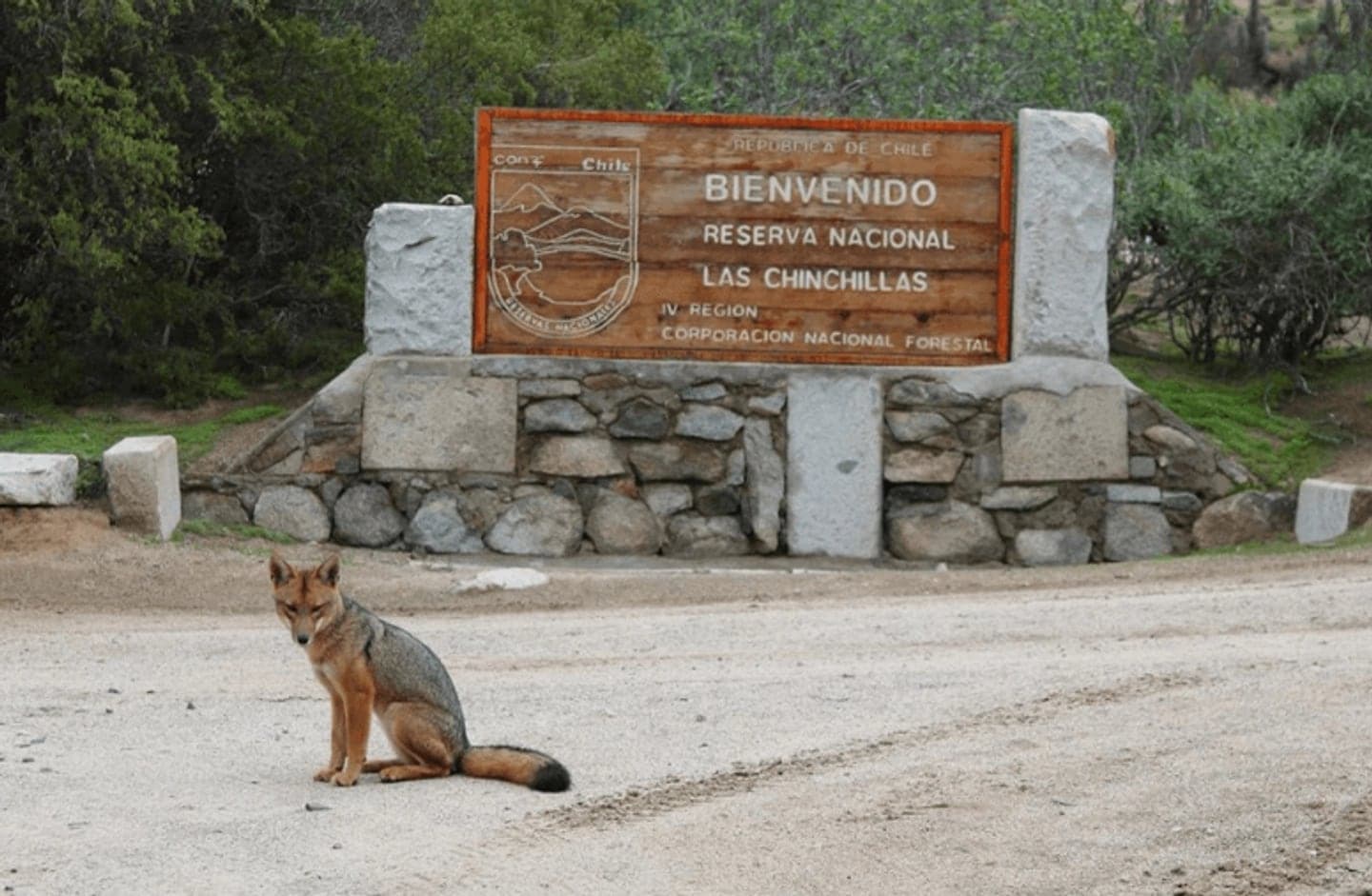 Reserva Nacional Las Chinchillas